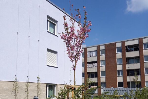 Titelbild der Hauspost-Ausgabe 1/2026 von der SWD.