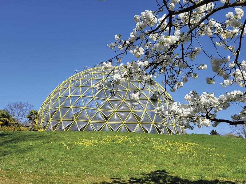 Der Botanische Garten der HHU